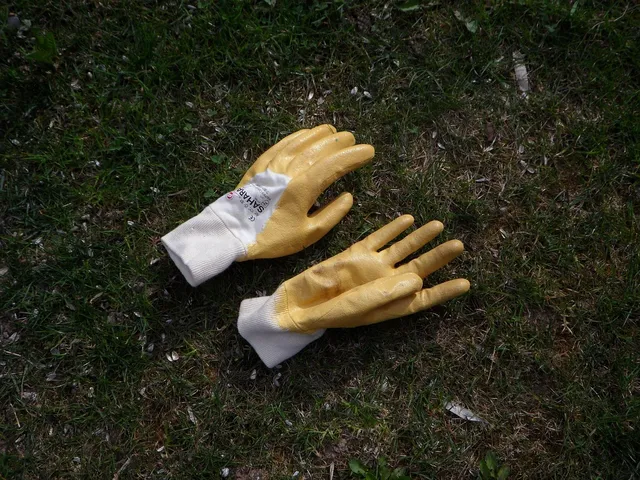 Caisse de gants V-Touch