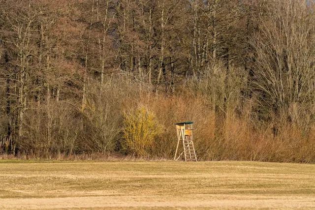 Siège de toilette surélevé sans appuis-bras 