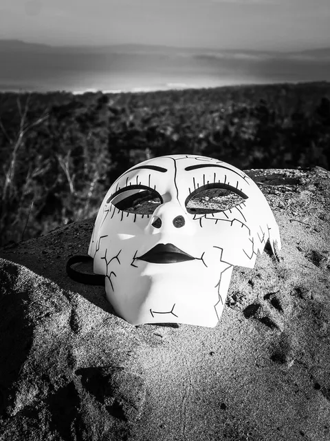Boîte de masques MedSec ASTM niveau 2 noir