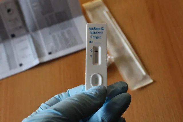 Aurelia Delight : Gants d'examens médicaux sans poudre en vinyle, claire, 3.5 mil d'épaisseur