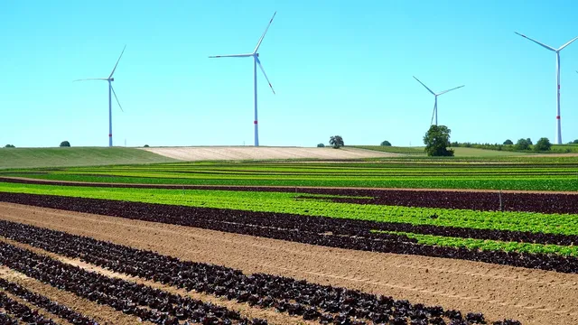 Boîte de compresses de marque Alliance