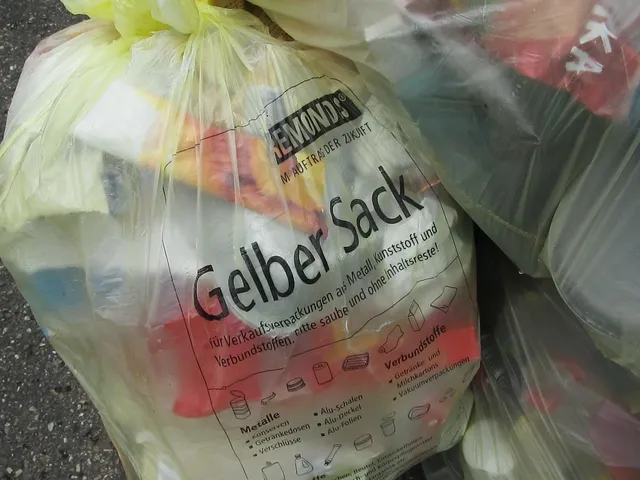 Rouleau de sacs en plastiques claire